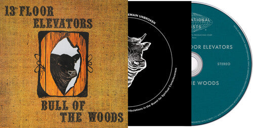 13th Floor Elevators - Psychedelic Sounds Of The 13th Floor Elevators CD ( VINYL )