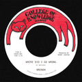 Brenda - Where Did I Go Wrong B/W Family LP ( VINYL )