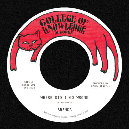 Brenda - Where Did I Go Wrong B/W Family LP ( VINYL )