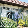 Cash Langdon - Dogs - Yellow LP (Colored Vinyl, Yellow) ( VINYL )