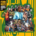 Femi Kuti - Journey Through Life CD ( VINYL )