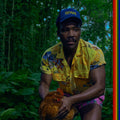 Childish Gambino - Bando Stone And The New World 2LP (Gatefold LP Jacket) ( VINYL )