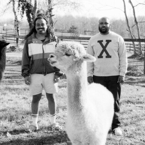 Infinity Knives - A City Drowned in God's Black Tears LP ( VINYL )
