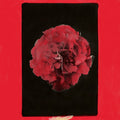 Activity - A Thousand Years in Another Way LP (Explicit Lyrics)  (Preorder: Ships June 06, 2025) ( VINYL )