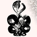 Bardo Pond - Volume 4 & 5 2LP (Gatefold Lp Jacket) ( VINYL )