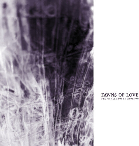 Fawns of Love - Who Cares About Tomorrow LP (Remastered) ( VINYL )