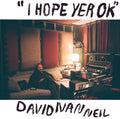 David Ivan Neil - I Hope Yer Ok LP ( VINYL )