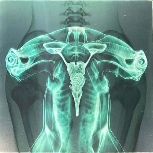 Eartheater - Shark Brain / Dolphin - Glow in the Dark LP (Colored Vinyl, Glow In The Dark) ( VINYL )