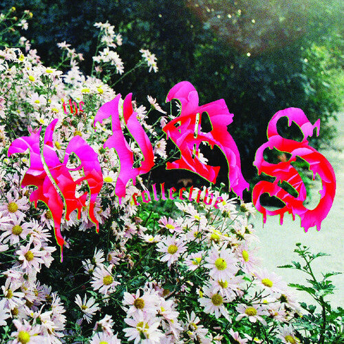 Hirs Collective - We're Still Here LP (Colored Vinyl, White, Gatefold Lp Jacket) ( VINYL )