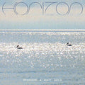 Horizon LP ( VINYL )