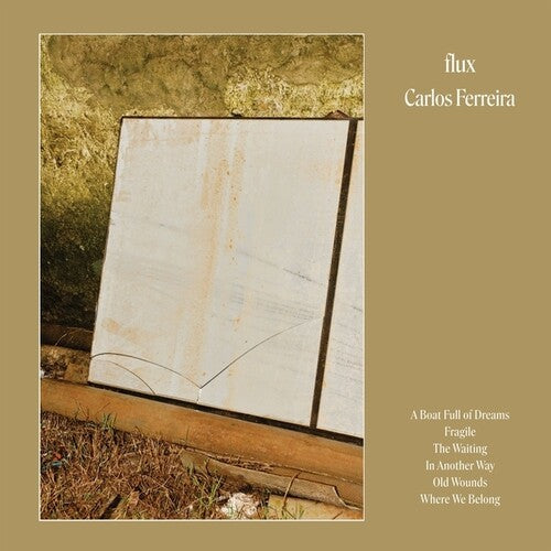 Carlos Ferreira - Flux LP ( VINYL )