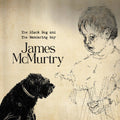 James McMurtry - The Black Dog and the Wandering Boy LP ( VINYL )