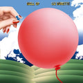 Liz Durette - Well Up LP ( VINYL )