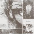 Park Jiha - All Living Things LP  (Preorder: Ships June 06, 2025) ( VINYL )