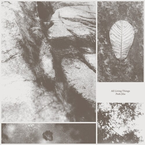 Park Jiha - All Living Things LP  (Preorder: Ships June 06, 2025) ( VINYL )