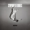 Jonathan Roy - Symphony Of Doubts LP ( VINYL )