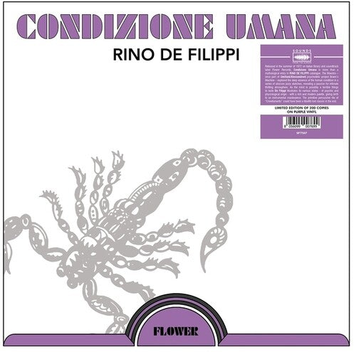 Condizione Umana LP (Colored Vinyl, Purple) ( VINYL )