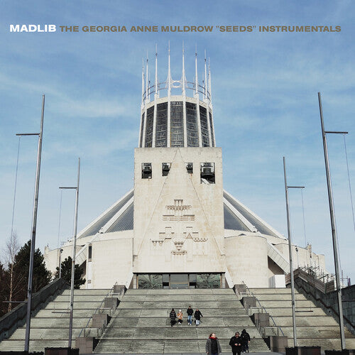 Madlib - Seeds LP (Instrumentals) ( VINYL )