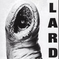 Lard - Power Of Lard LP (White Colored Vinyl) ( VINYL )