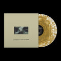 Citizen - Everybody Is Going to Heaven 2LP (10 Year Anniversary Edition, Gold Colored Vinyl) ( VINYL )