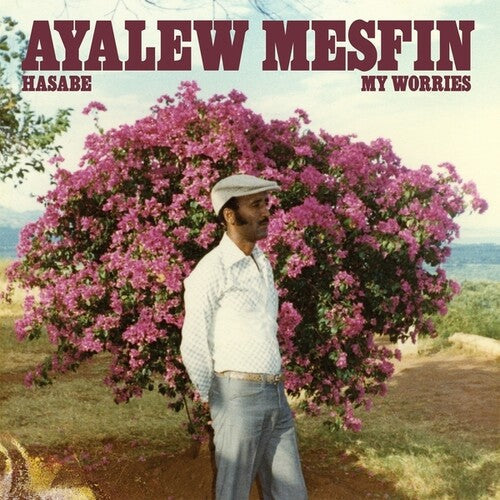Ayalew Mesfin - Hasabe - My Worries LP ( VINYL )
