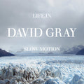 David Gray - Life in Slow Motion LP (Blue Colored Vinyl, 20th Anniversary Edition) ( VINYL )