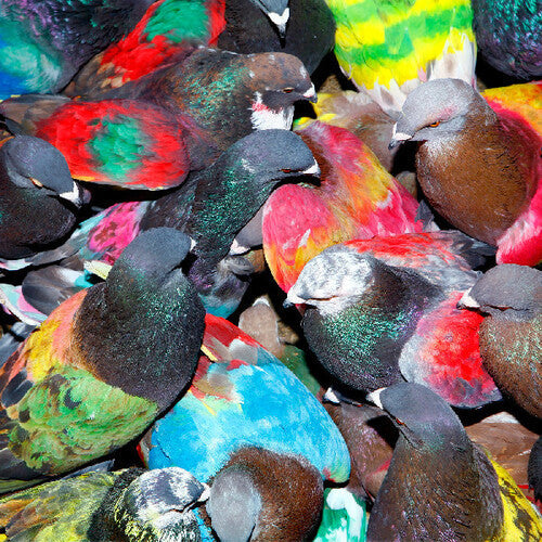 Blawan - Sickelixir LP ( VINYL )
