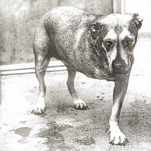 Alice in Chains - Alice In Chains 2LP (Colored Vinyl, Anniversary Edition, Reissue) ( VINYL )