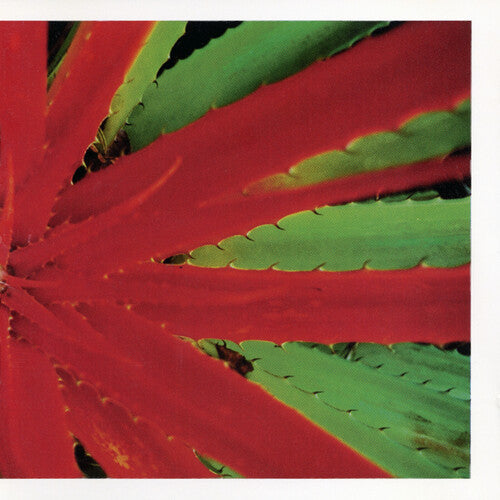Jejune - This Afternoons Malady 2LP ( VINYL )