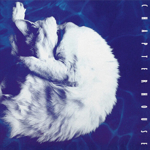 Chapterhouse - Whirlpool LP (Limited Edition, 180 Gram Vinyl, White & Black Marble Colored Vinyl) (Preorder: Ships March 6, 2026) ( VINYL )