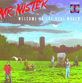 Mr. Mister - Welcome to the Real World CD (Manufactured On Demand, Alliance Mod) ( VINYL )