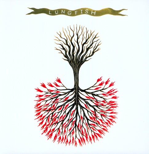 Lungfish - Love Is Love LP ( VINYL )
