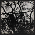 Jeff Liberman - Synergy LP (Outsider Reissue) ( VINYL )
