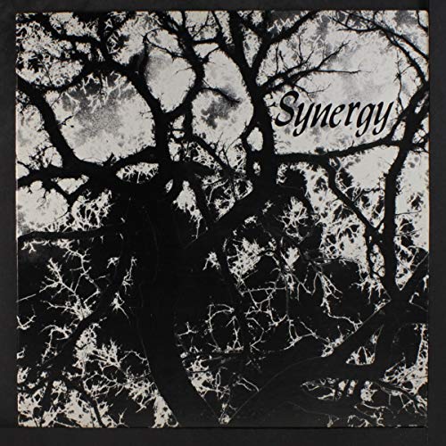 Jeff Liberman - Synergy LP (Outsider Reissue) ( VINYL )