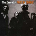 Alice in Chains - Essential Alice in Chains 2CD (Remastered) ( VINYL )