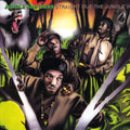 Jungle Brothers - Straight Out The Jungle 2LP ( VINYL )
