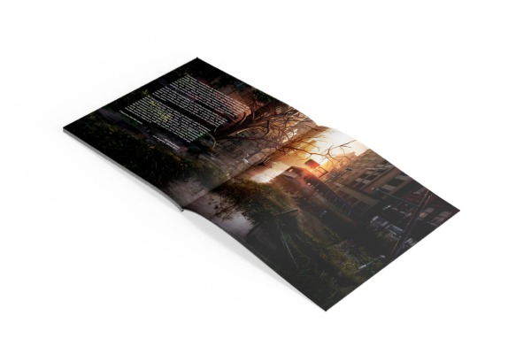Gustavo Santaolalla - The Last Of Us (Original Score) 2LP (Music On Vinyl, Green & Silver Vinyl) ( VINYL )