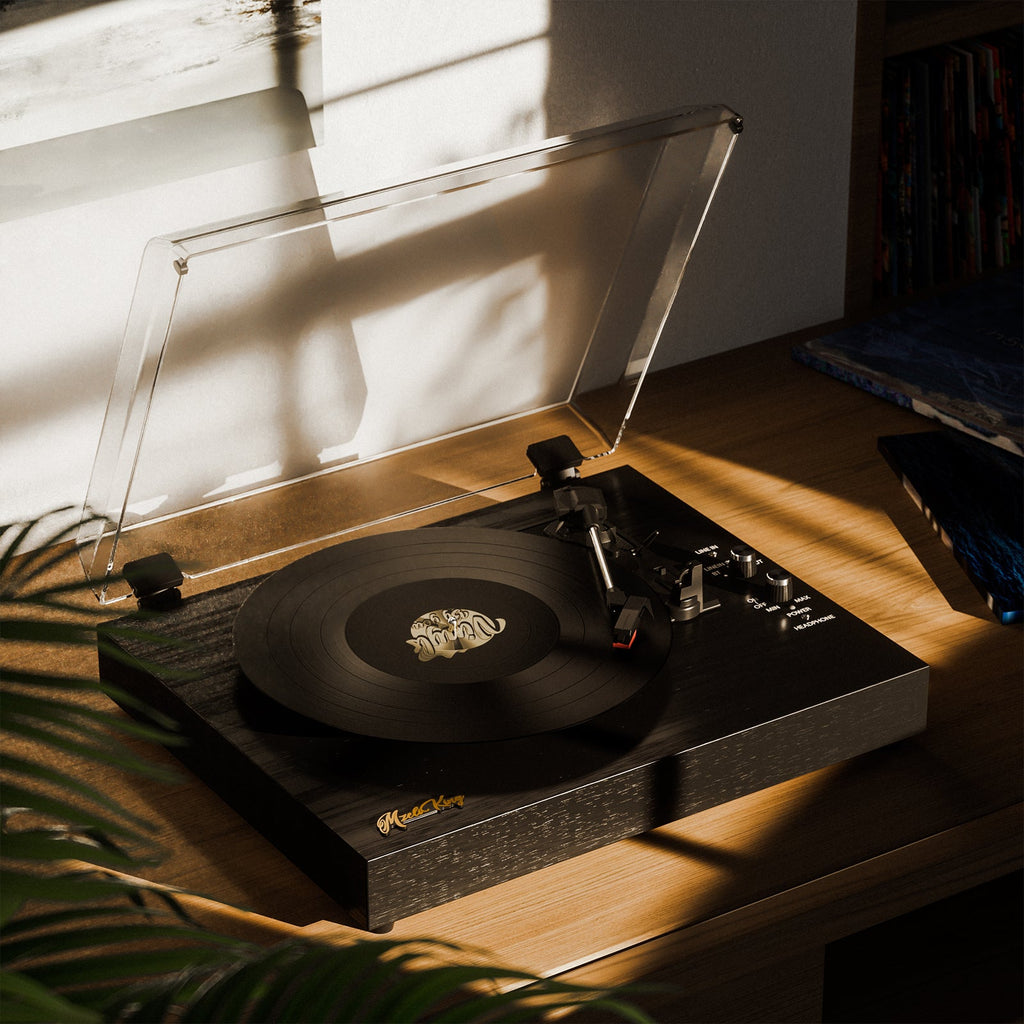 Vinyl Turntable with Built-in Speakers for Entertainment and Home Decoration