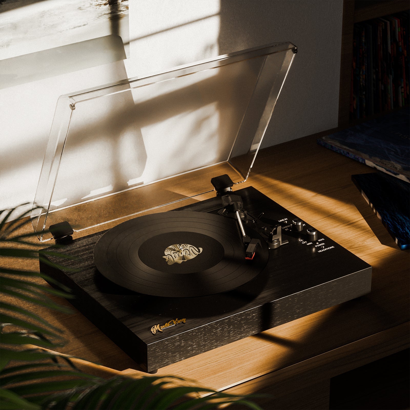 Vinyl Turntable with Built-in Speakers for Entertainment and Home Decoration