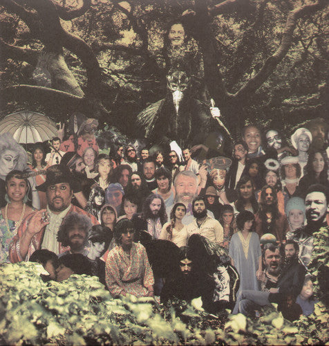 Devendra Banhart - Cripple Crow 2LP ( VINYL )