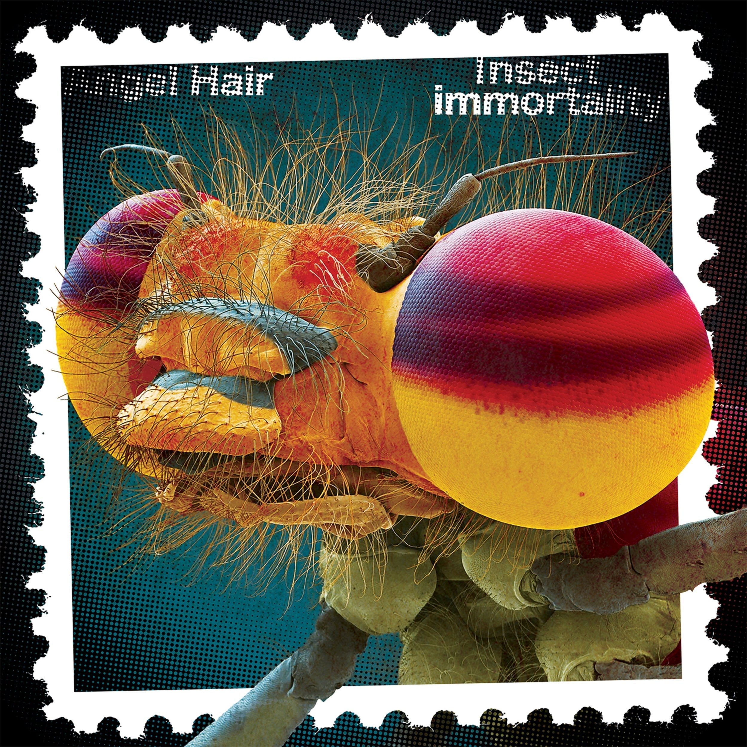 Angel Hair - Insect Immortality LP (Color Vinyl, Gatefold) ( VINYL )