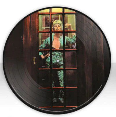 David Bowie – The Rise and Fall of Ziggy Stardust and the Spiders From Mars LP (50th Anniversary Picture Disc, 2012 Half-Speed Remaster, Poster) ( VINYL )
