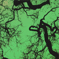 Follakzoid - S/T LP (Galaxy Green Vinyl) ( VINYL )