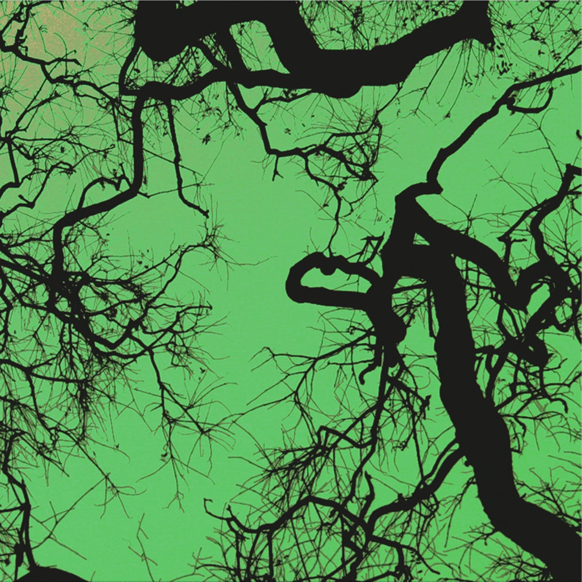 Follakzoid - S/T LP (Galaxy Green Vinyl) ( VINYL )