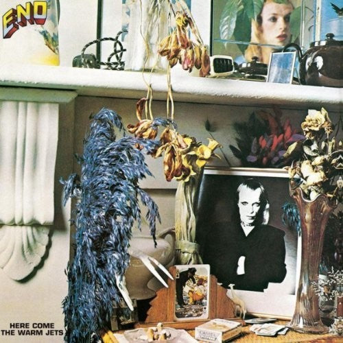 Brian Eno - Here Come The Warm Jets LP ( VINYL )