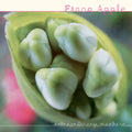 Fiona Apple - Extraordinary Machine 2LP (180 Gram Vinyl) ( VINYL )