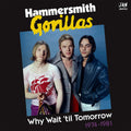 Hammersmith Gorillas - Why Wait 'Til Tomorrow 1974-1981 2LP ( VINYL )