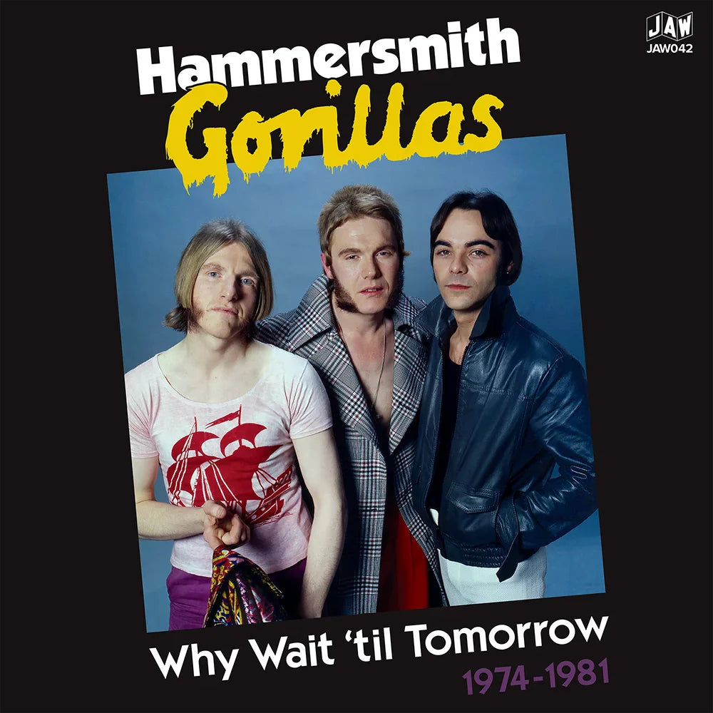 Hammersmith Gorillas - Why Wait 'Til Tomorrow 1974-1981 2LP ( VINYL )