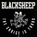 Black Sheep - The Choice Is Yours 12'' ( VINYL )