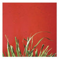 Matt McCormick - Very Stereo 2LP ( VINYL )